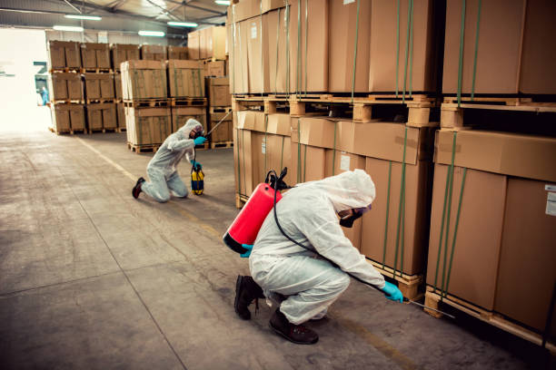Best Affordable Pest Control Services  in Roebling, NJ