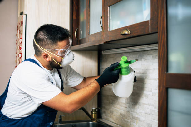 Best Cockroach Control Services  in Roebling, NJ
