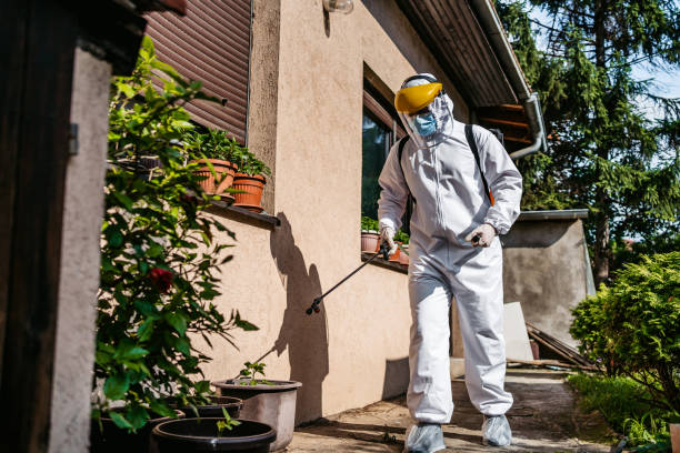 Best Pest Control Near Me  in Roebling, NJ