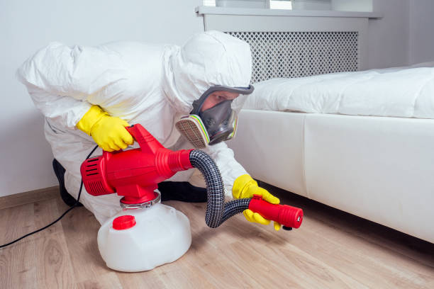 Best Local Pest Control Services  in Roebling, NJ