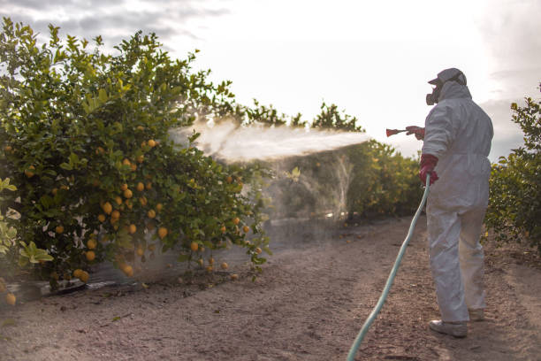 Best Commercial Pest Control Services  in Roebling, NJ