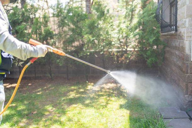 Best Flea Control Services  in Roebling, NJ