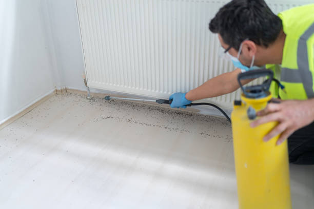 Reliable Roebling, NJ Pest Control Solutions