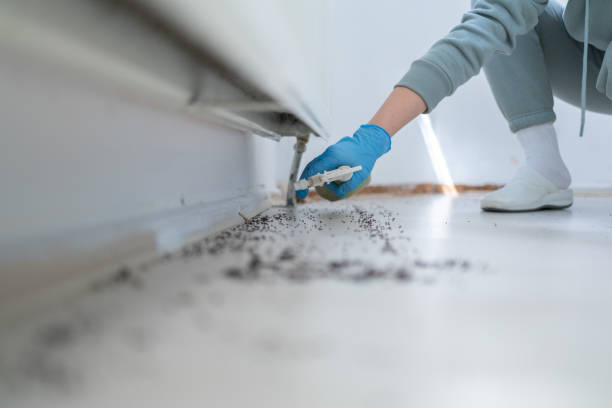 Best Wasp Removal Services  in Roebling, NJ