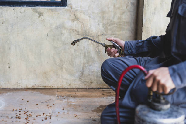Best Pest Prevention Services  in Roebling, NJ